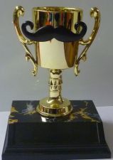 CupSTACHE Award