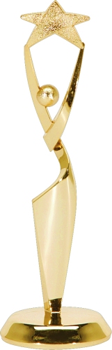 Reach for the Stars Trophy