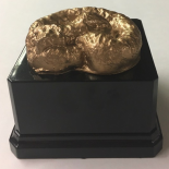 Golden Turd Award