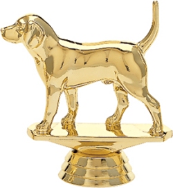 Beagle Trophy