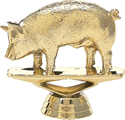 What A Pig Award