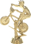BMX Bike Trophy
